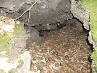 rruggeri-201011121 056